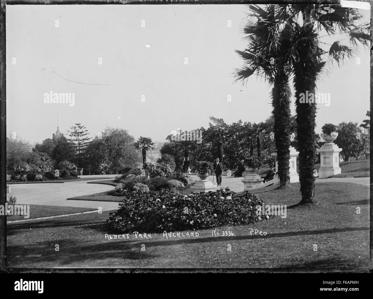 Der Albert Park in Auckland ist ein großer Stadtpark, der für seine historische Bedeutung, seine wunderschönen Gärten und Skulpturen bekannt ist. Es bietet eine friedliche Umgebung inmitten der Stadt und verfügt über Spazierwege, Brunnen und offene Bereiche. Stockfoto