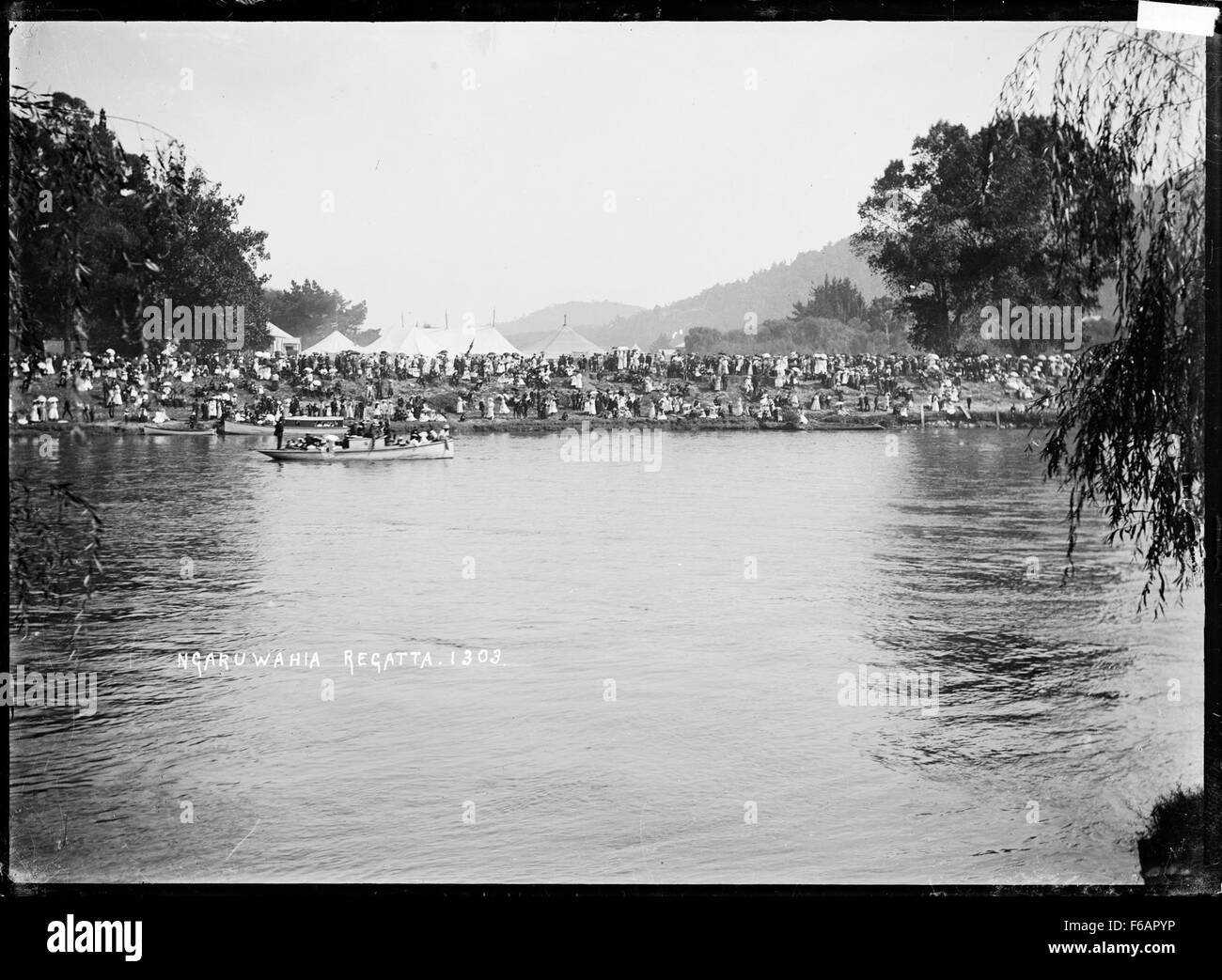 Regatta auf dem Waikato River in Ngaruawahia, um 1910 Stockfoto