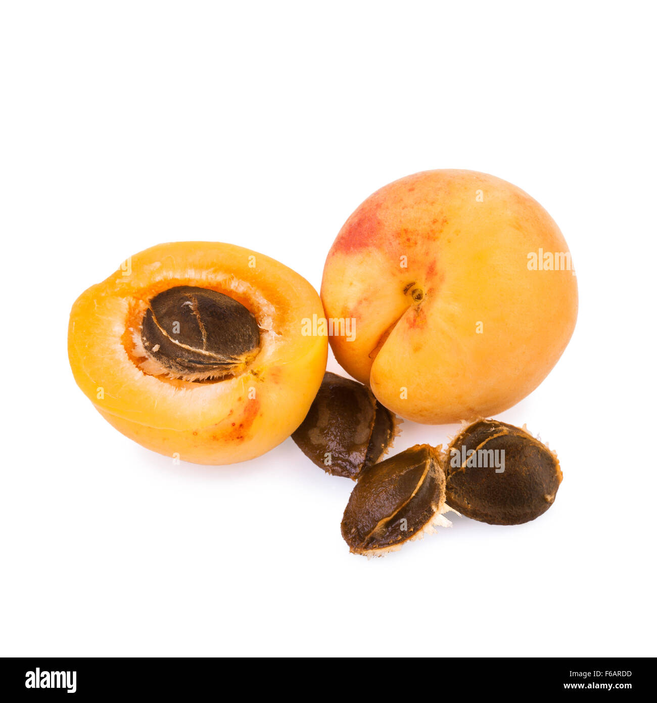 Aprikose und die Hälfte der Früchte mit Früchten Kern Stockfoto