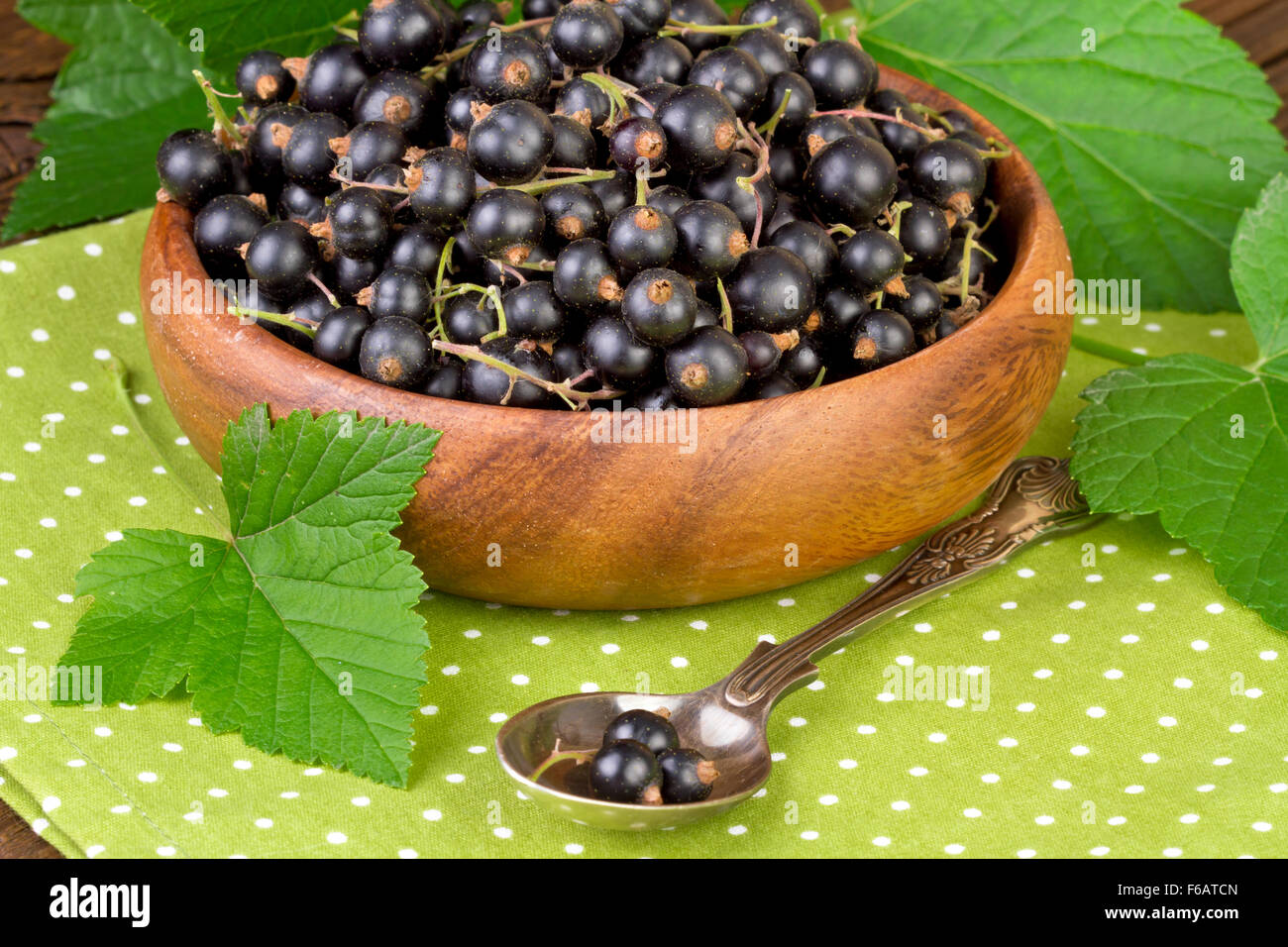 Schwarze Johannisbeere auf grünen Tupfen Hintergrund Stockfoto