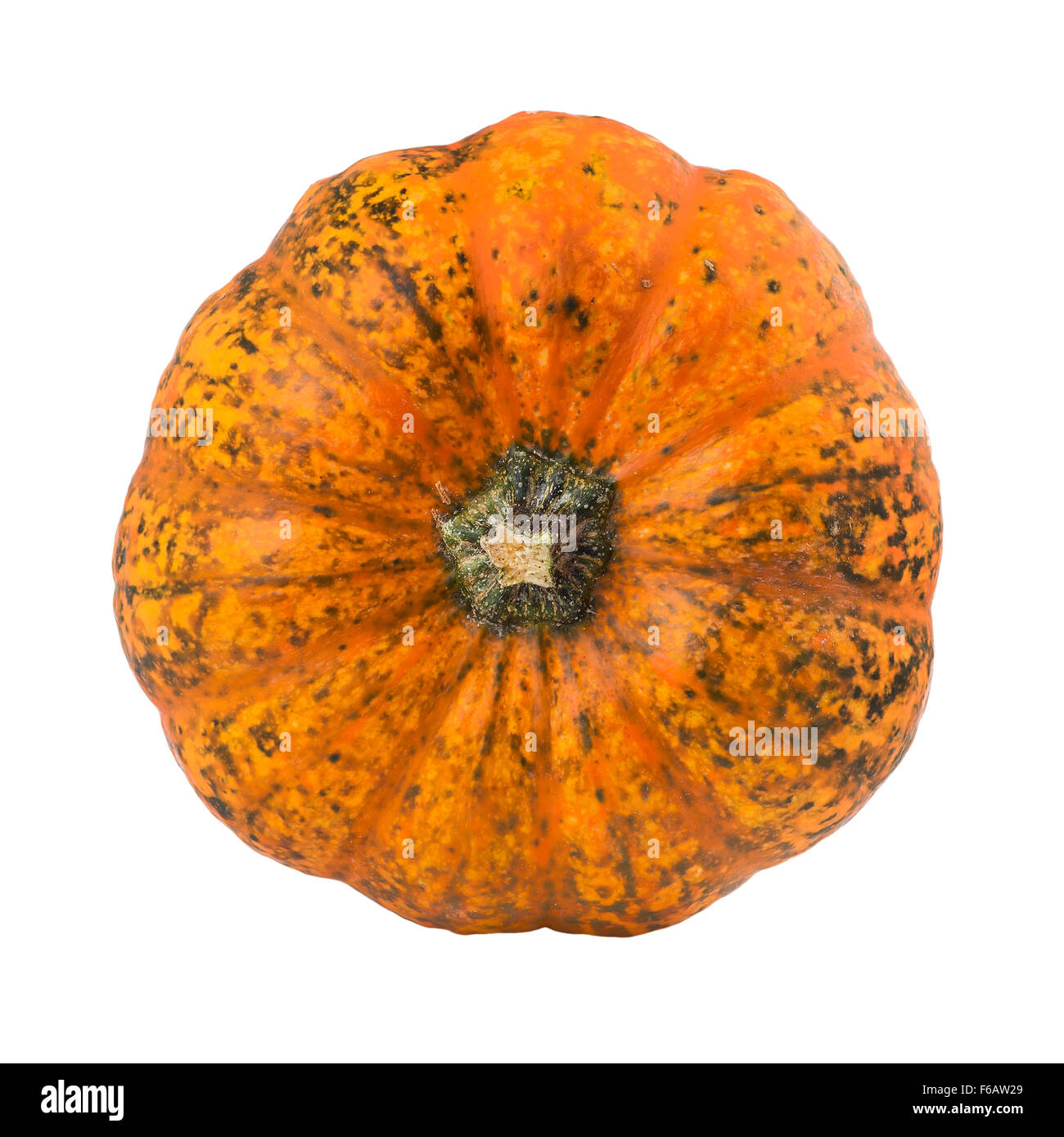 Kürbisorange Stockfoto