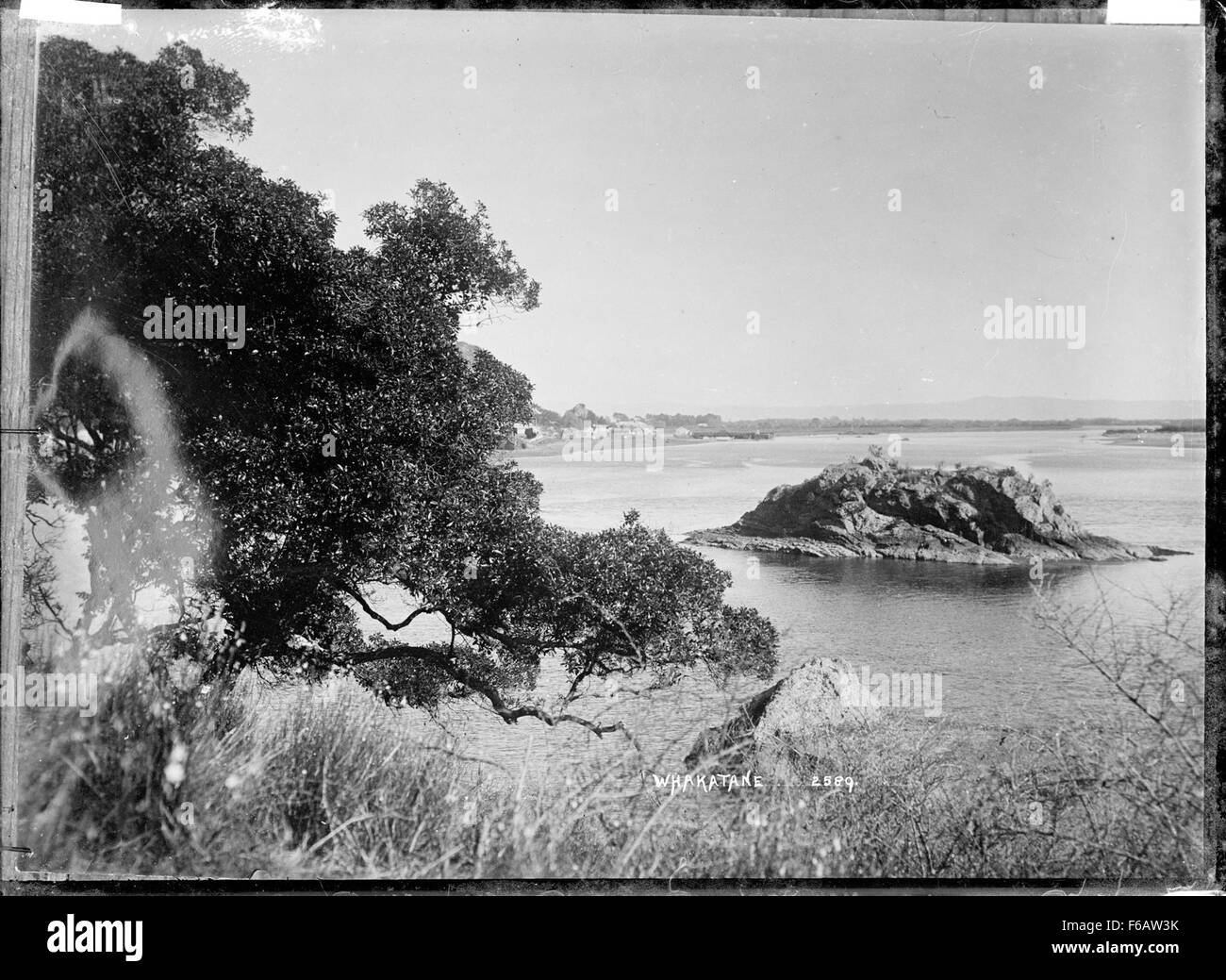 Ein Foto des Whakatane Harbour in Neuseeland, das die ruhige Schönheit der Uferpromenade und der umliegenden Landschaften einfängt. Das Bild zeigt die natürliche Umgebung, mit einem Schwerpunkt auf den Küstenmerkmalen und der friedlichen Atmosphäre dieser Region. Stockfoto