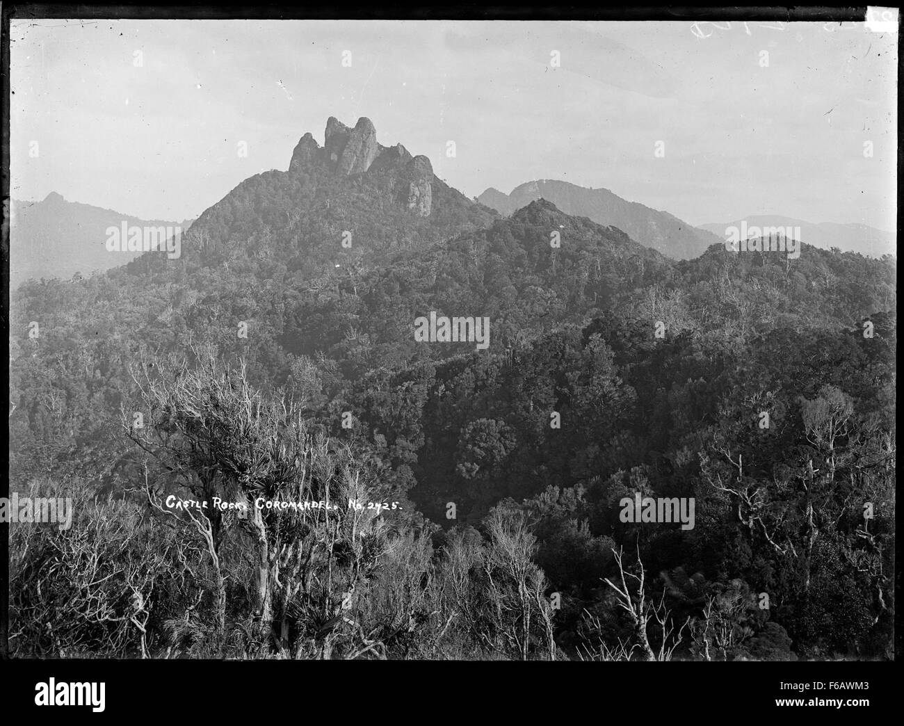 Bush bekleideten Hügeln in Coromandel, einschließlich Castle Rock Stockfoto