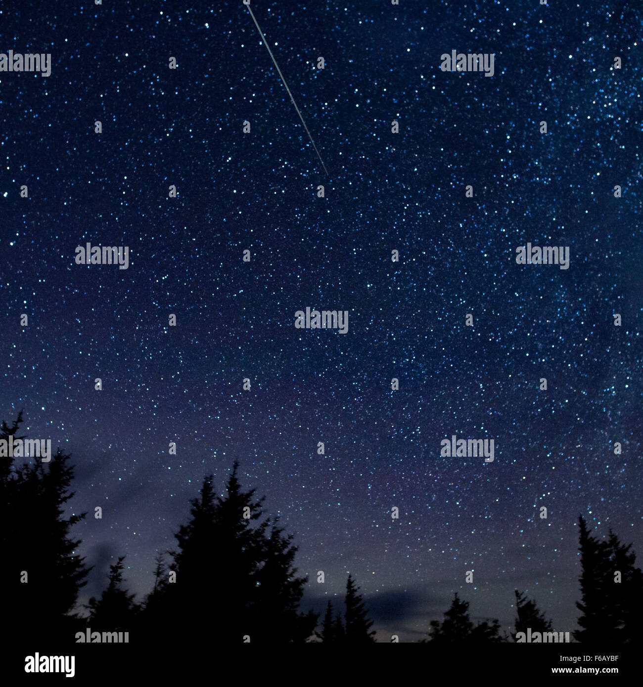 In diesen 30 Sekunden Exposition, ein Meteor-Streifen über den Himmel während der jährliche Perseiden Meteorschauer Donnerstag, 13. August 2015, in Spruce Knob, West Virginia. Bildnachweis: (NASA/Bill Ingalls) Stockfoto