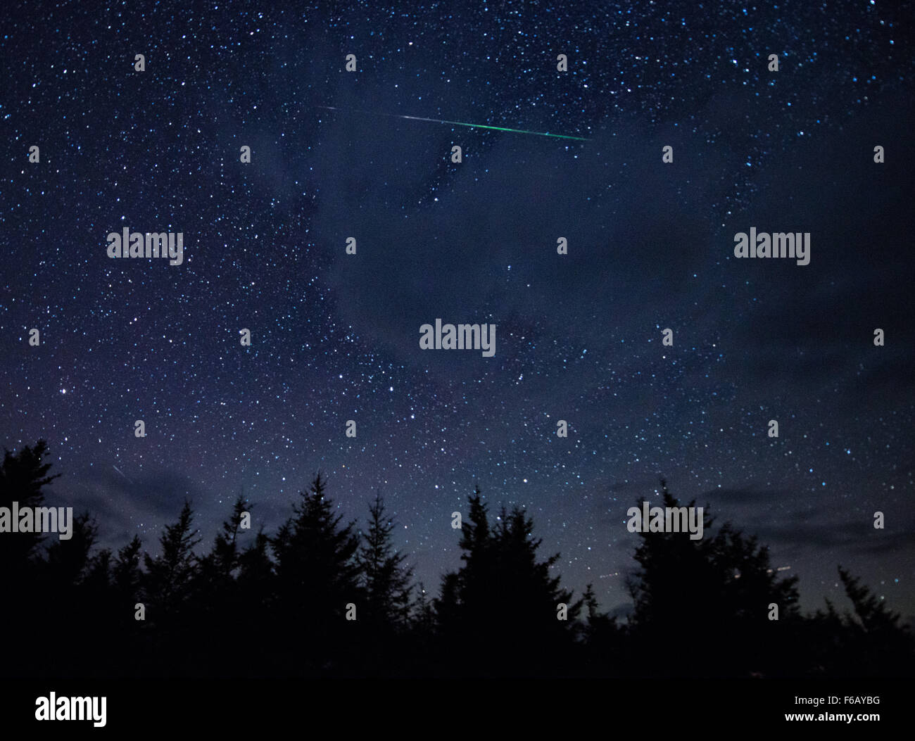 In diesen 20 Sekunden Exposition, ein Meteor-Streifen über den Himmel während der jährliche Perseiden Meteorschauer Donnerstag, 13. August 2015, in Spruce Knob, West Virginia. Bildnachweis: (NASA/Bill Ingalls) Stockfoto