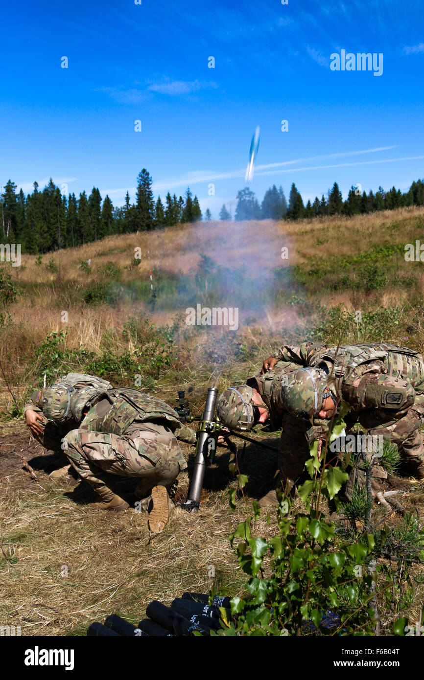 Mörtel Männer mit Headquarters und Headquarters Company, 1. Bataillon, 503. Infanterieregiment, 173rd Airborne Brigade Assist ein Verbündeter von 1. Brigade estnischen Defense Force, legt er einen Mörser in ein Rohr in einem Mörser Leben Feuer Übung, Estland, 7. August. Die Soldaten der estnischen Armee waren in der Lage zu vergleichen und ihre Methoden und Verfahren für die richtig Ausführung das Abfeuern eines Mörtels in Bezug auf die amerikanischen Soldaten Verfahren während der kombinierten Trainingsmöglichkeit. Die Veranstaltung war ein Teil der Operation Atlantic lösen eine fortlaufende Reihe von Übungen, nach b entwickelt Stockfoto