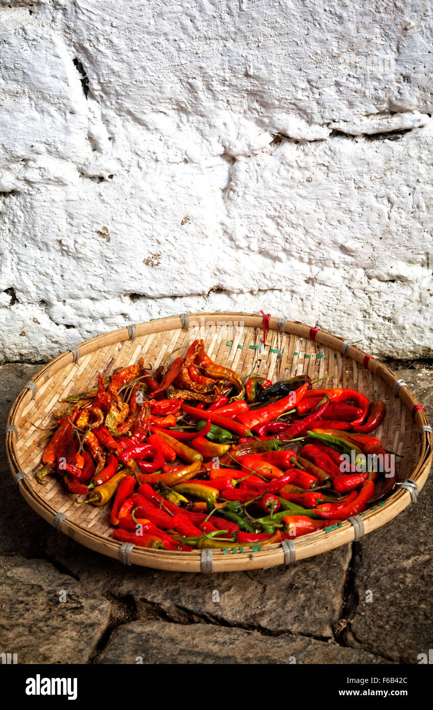 Chilis trocknen dargelegt.  Bhutan Stockfoto