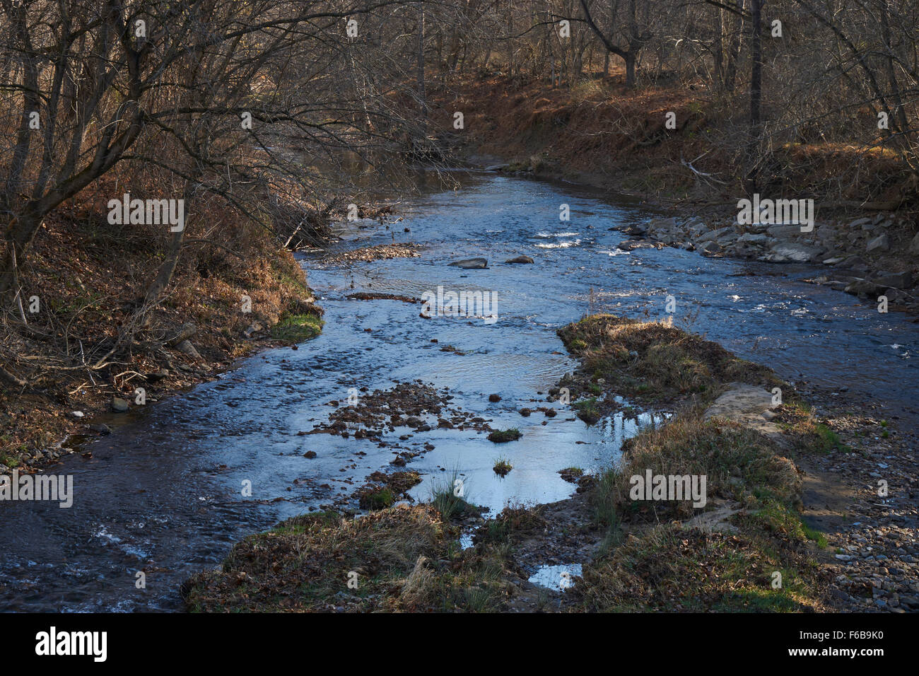 Patapsco River bei Mariottsville, Maryland, USA Stick Saison Stockfoto