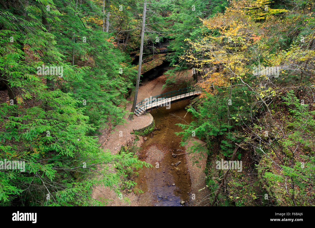 Fußgänger Fußgängerbrücke am alten Mannes Höhlenbereich, Hocking Hills State Park. Stockfoto