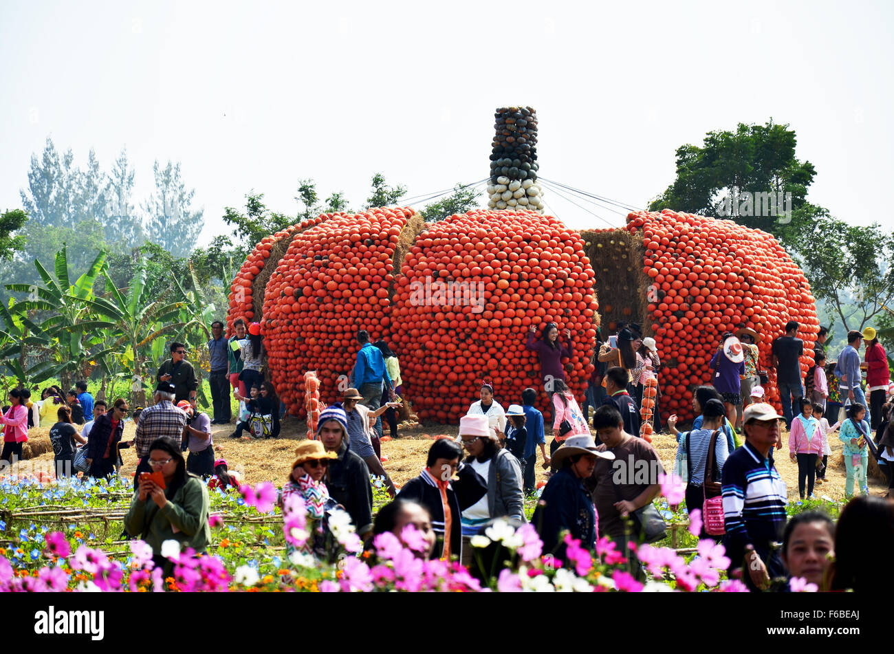 Menschen reisen und und Fotografieren mit großen Kürbis auf Jim Thompson Farm am 30. Dezember 2013 in Nakhon Ratchasima, Thailand Stockfoto
