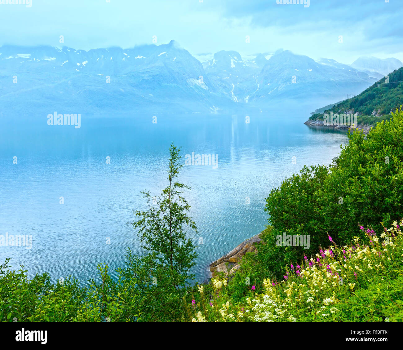 Trübe Sommer Blick über Glomfjorden, Nordland, Norwegen Stockfoto