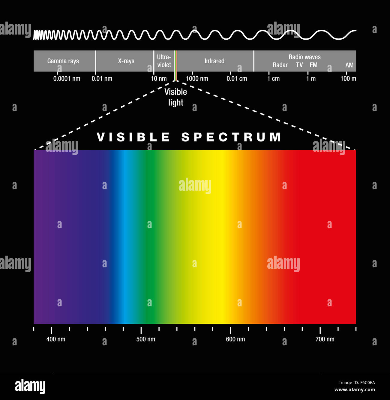Elektromagnetischen Spektrums aller möglichen Frequenzen elektromagnetischer Strahlung mit den Farben des sichtbaren Spektrums. Stockfoto