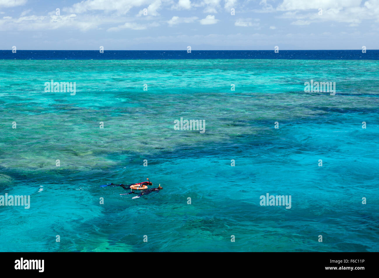 Schnorcheln am Great Barrier Reef, Queensland, Australien Stockfoto