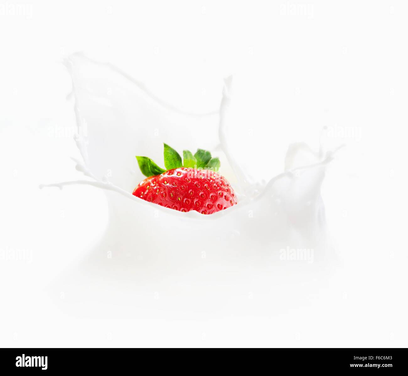 Erdbeeren in Milch fallen Stockfoto