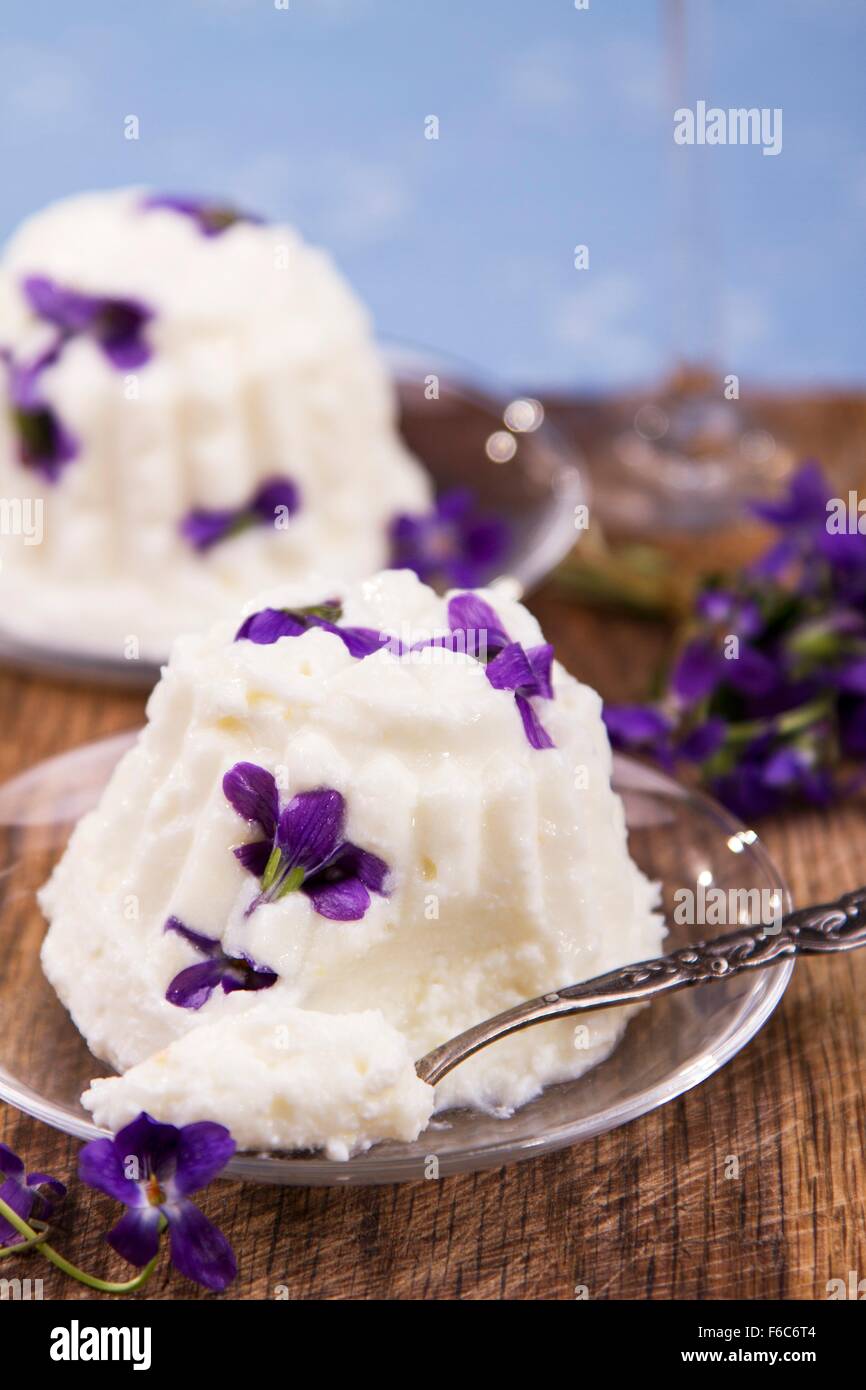 Quark-Pudding mit frischen Veilchen Stockfoto