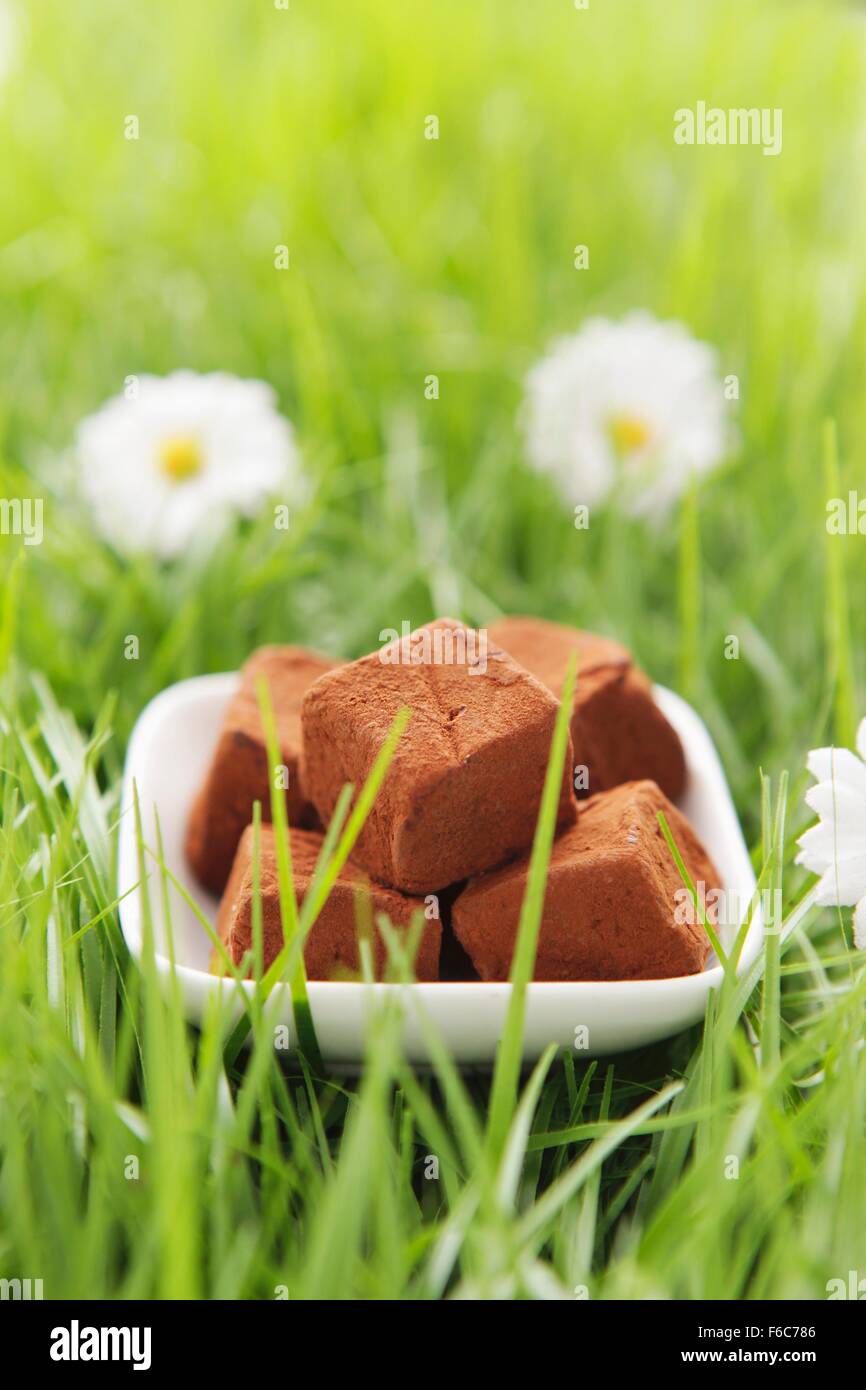 Schokoladen-Trüffel in Kunstrasen Stockfoto