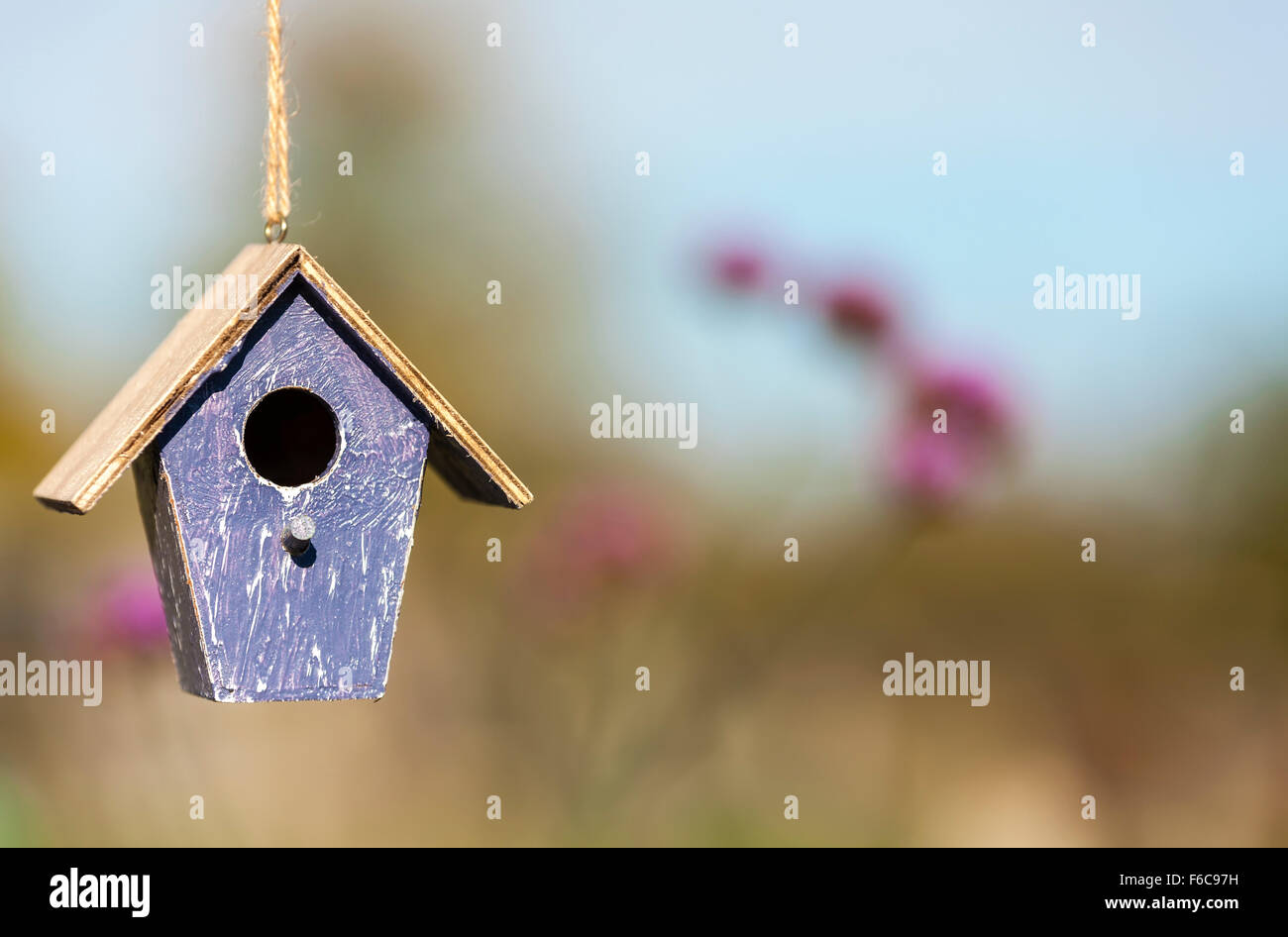 Ein Vogelhaus oder Vogel-Kasten im Herbst, Herbst, Sommer oder Frühling Sonnenschein mit natürlichen Landschaft Blumen im Hintergrund Stockfoto