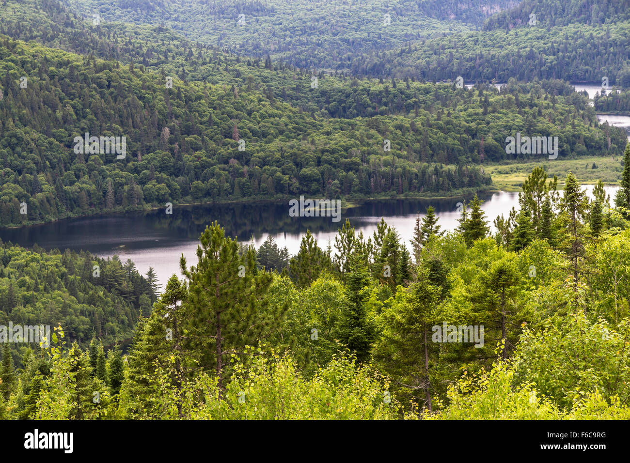 Parc Maurice Ausblick auf See, Canada Stockfoto