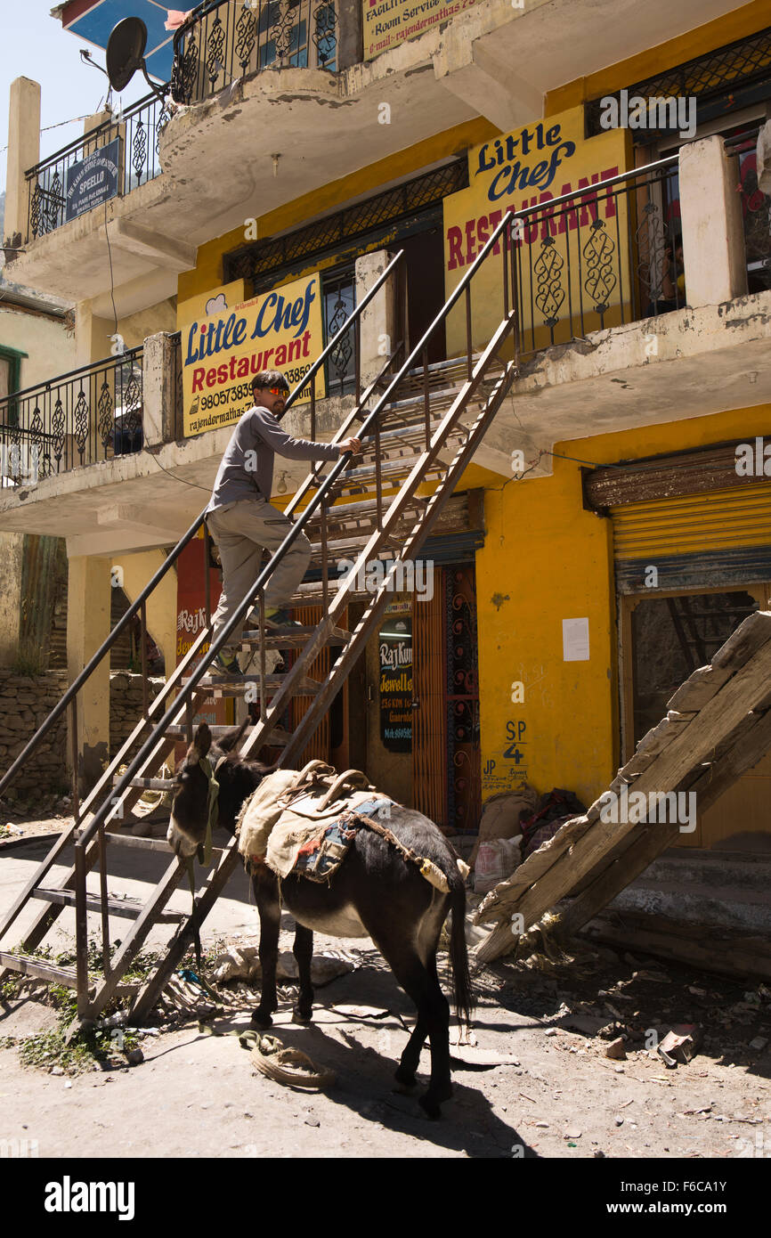Himachal Pradesh, Indien, Kinnaur, Khanum, Mann Metall Treppen zu kleinen Chef Restaurant Stockfoto
