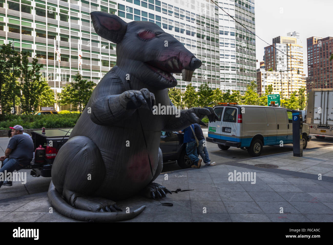 Große Ratte auf der Straße, NYC Stockfoto