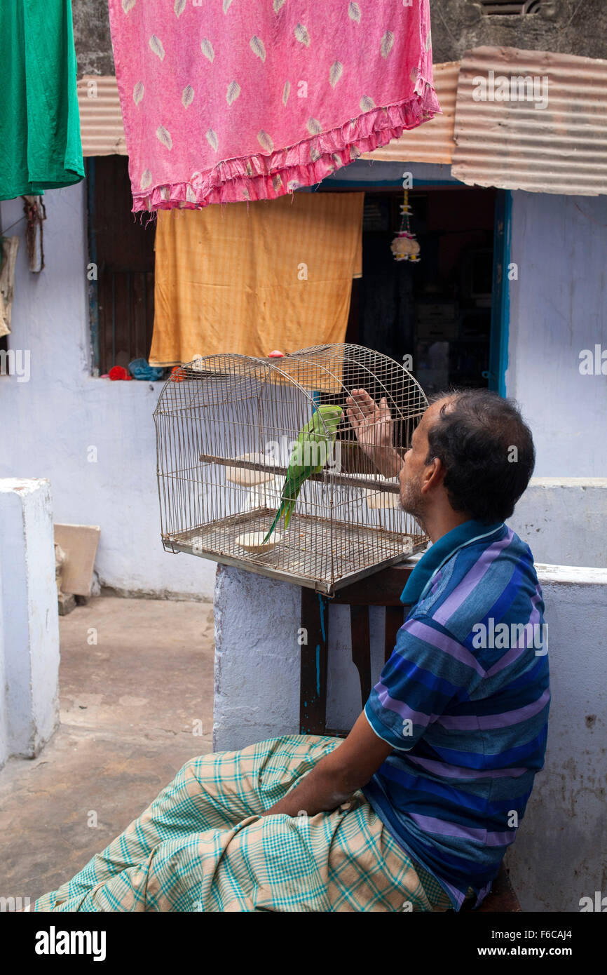 Dhaka, Bangladesch. 15. November 2015.  Ein Mann mit seinem Haustier Vogel in alten Dhaka am 15. November 2015 sprechen. Alten Dhaka ist ein Begriff verwendet, um die historische Altstadt von der modernen Hauptstadt Dhaka beziehen. Es wurde im Jahre 1608 als Jahangir Nagar, der Hauptstadt von Mughal Bengal gegründet. Bildnachweis: Zakir Hossain Chowdhury Zakir/Alamy Live-Nachrichten Stockfoto