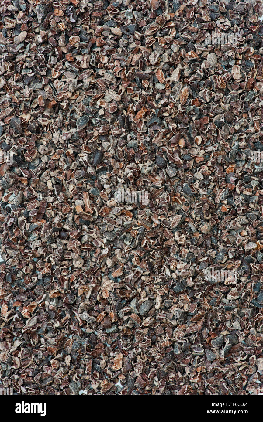 Kakaonibs Stockfoto