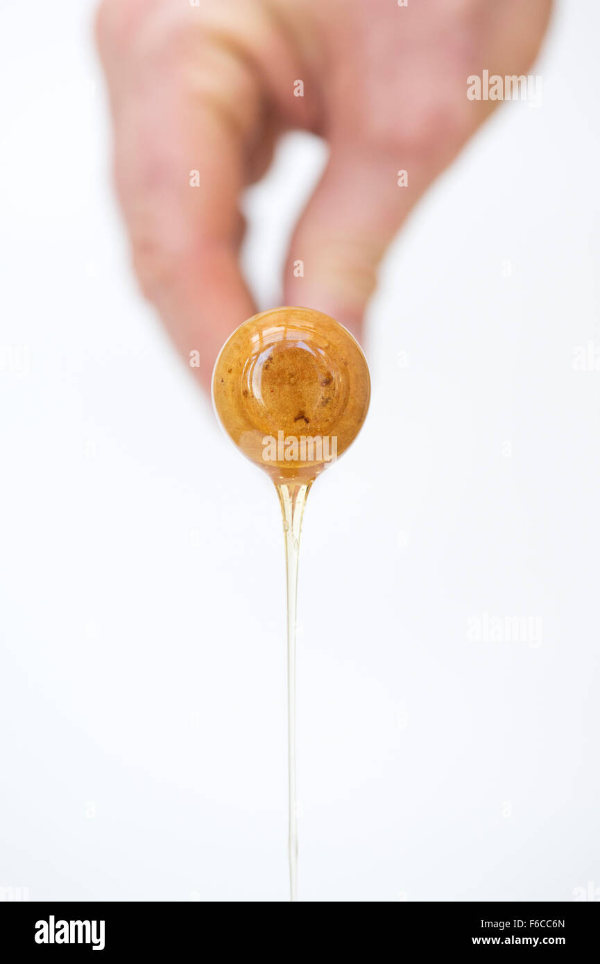 Hand mit einem Honig-Drizzler mit Honig vor weißem Hintergrund Stockfoto