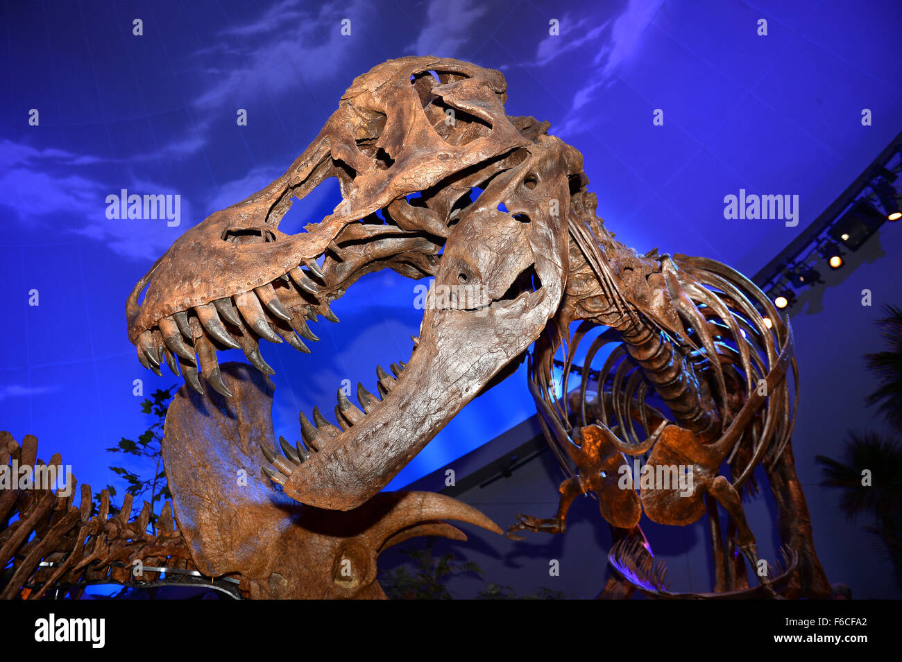 INDIANAPOLIS, IN-22 Juli: Dinosaurier-Ausstellung an der Kinder Museum of Indianapolis am 22. Juli 2014 in Indianapolis Indiana Stockfoto