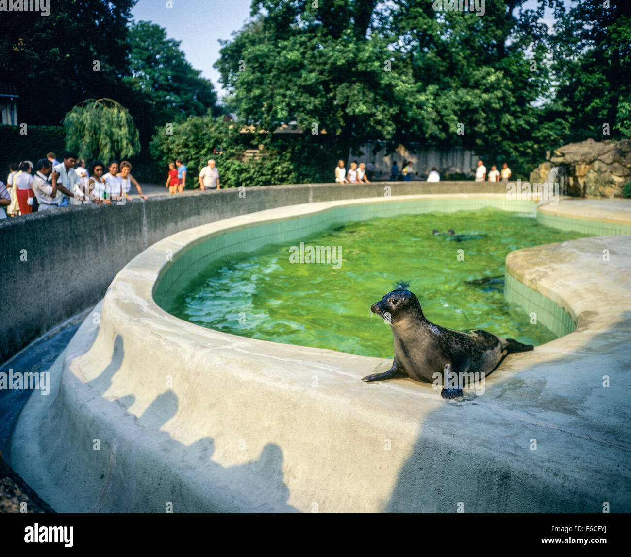 34+ Burgermeister Zoologischer Garten, Jetzt speisekarte im