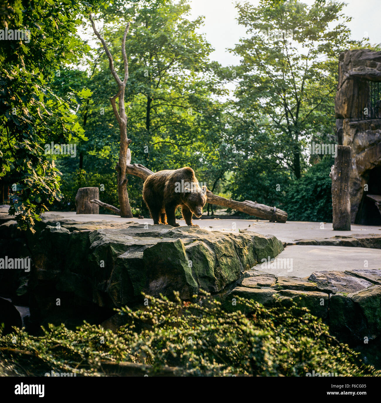 Zoologischer garten berlin Fotos und Bildmaterial in hoher Auflösung