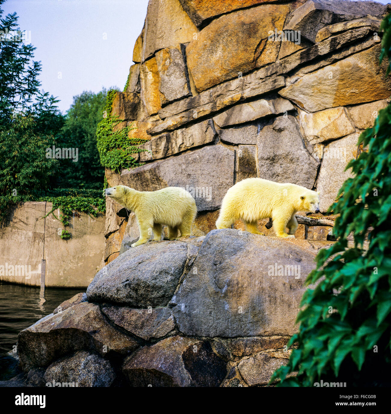 Zoologischer Garten Berlin Stockfotos und bilder Kaufen Alamy