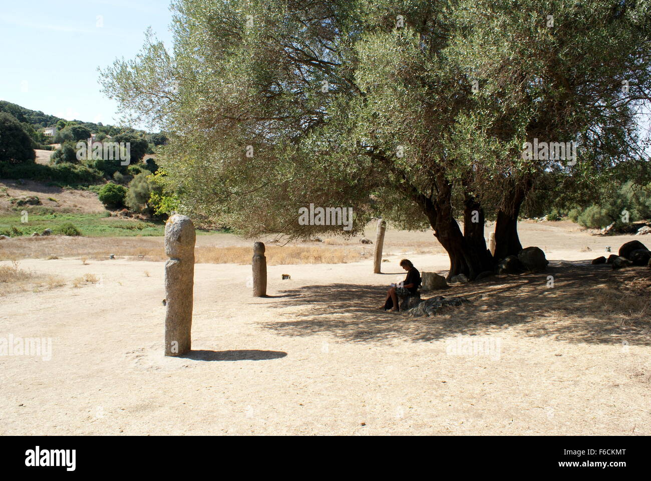 Figurenmenhire, Filitosa, Corsica Stockfoto