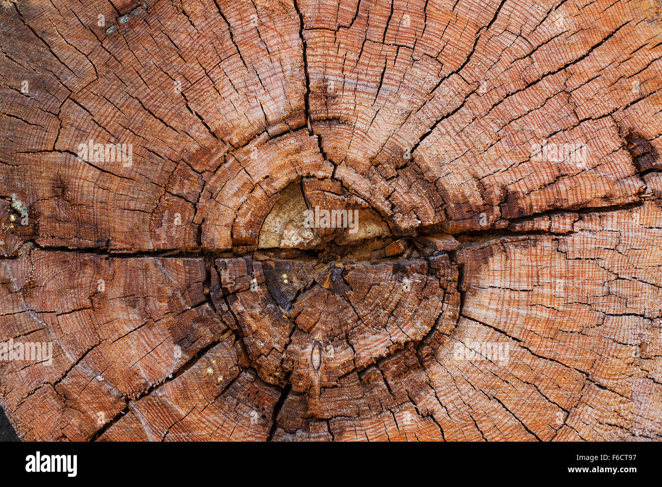 Alten Holzstruktur oder Hintergrund. Stockfoto