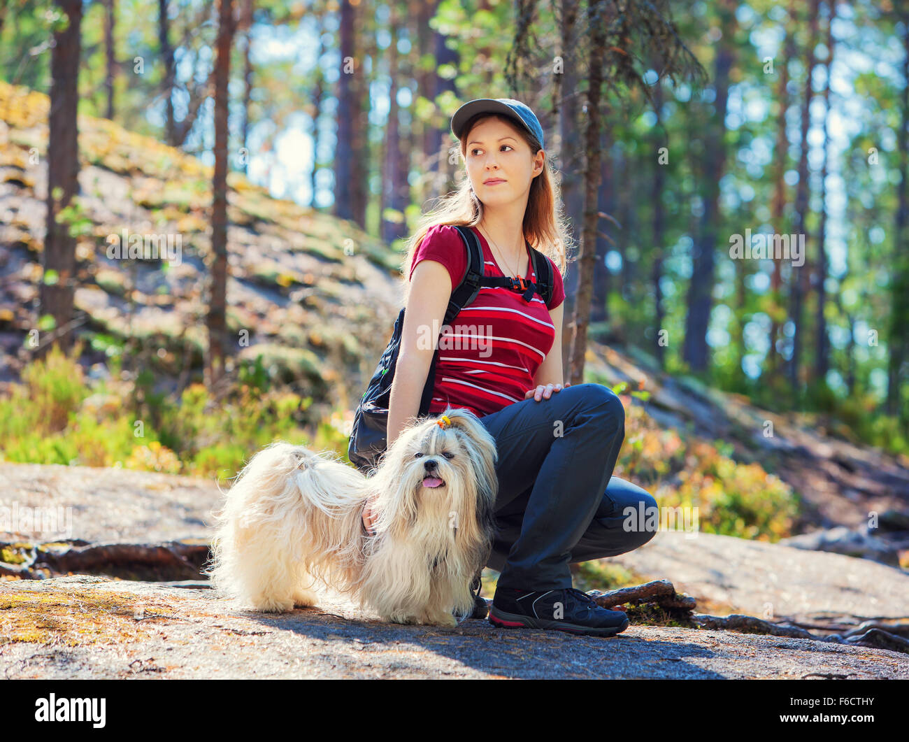 Junge Frau Touristen sitzen auf Stein mit Hund im Sommer Wald. Stockfoto
