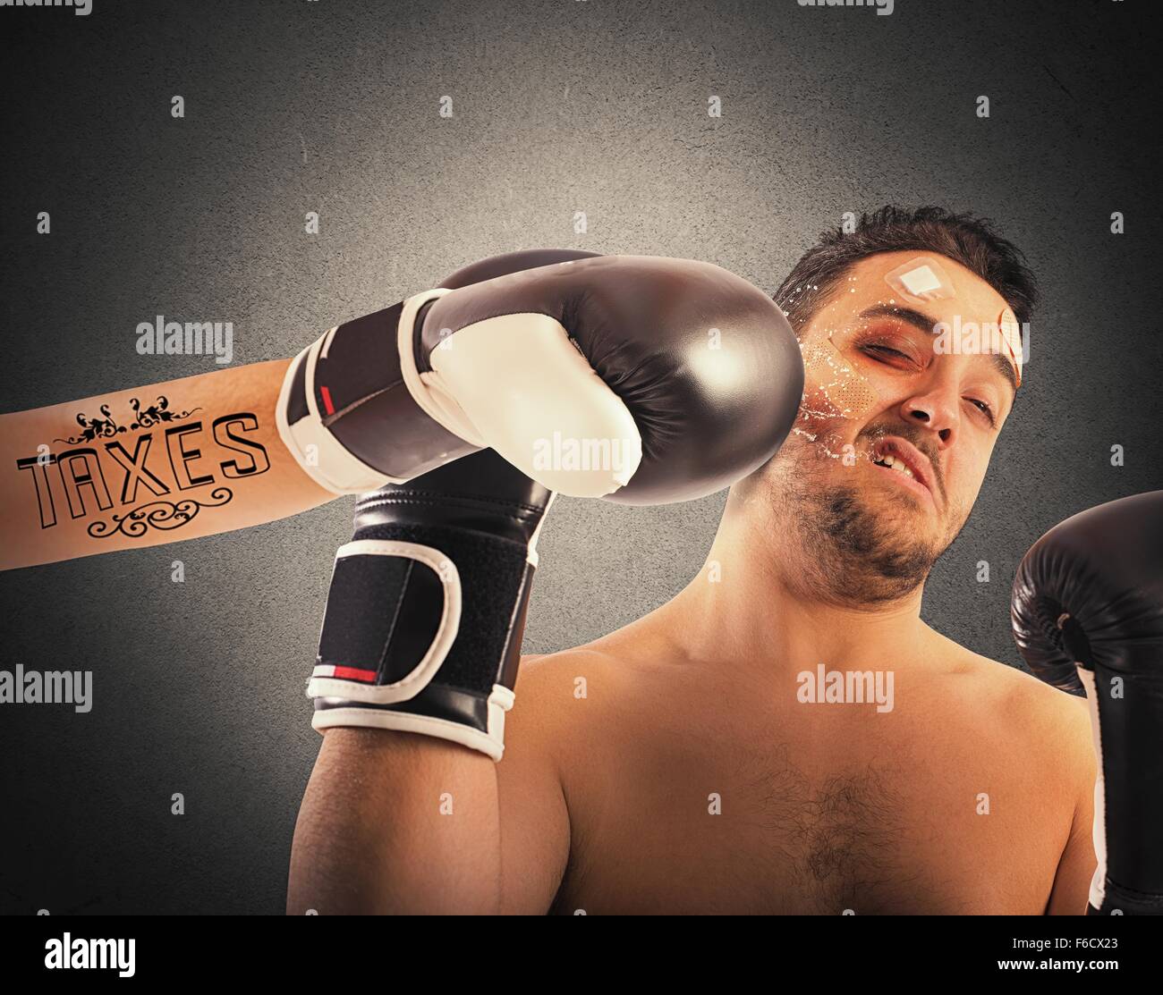 Boxer mit Steuern tattoo Stockfoto
