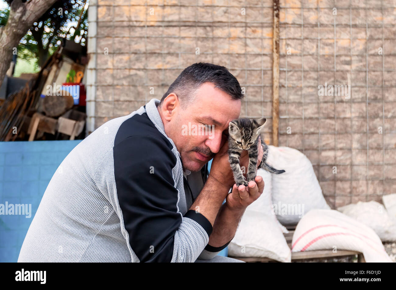Hunedoara, Rumänien - 21. Juni 2014: Porträt der dunkelhaarigen Mann mit Schnurrbart mit Toady Kätzchen grau Kitten In Hunedoara Stockfoto