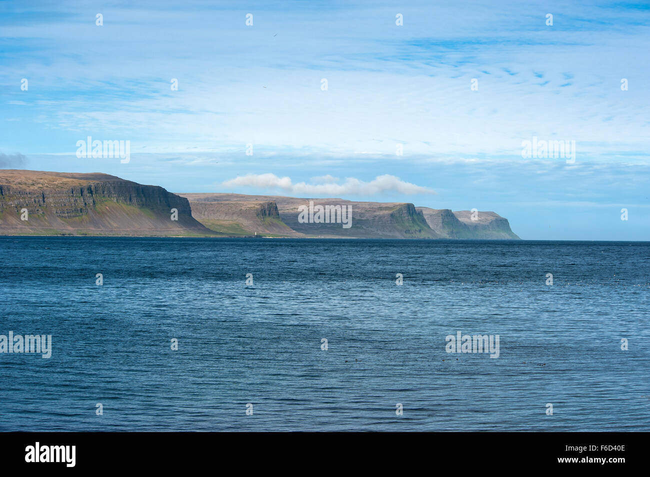 Patrekfjordur, Westfjorde, Island Stockfoto