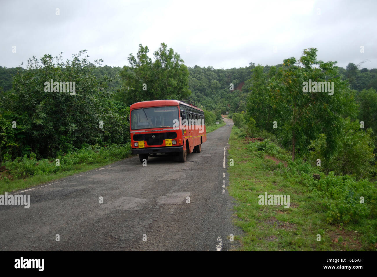 ST Bus on Road, maharashtra, indien, asien Stockfoto