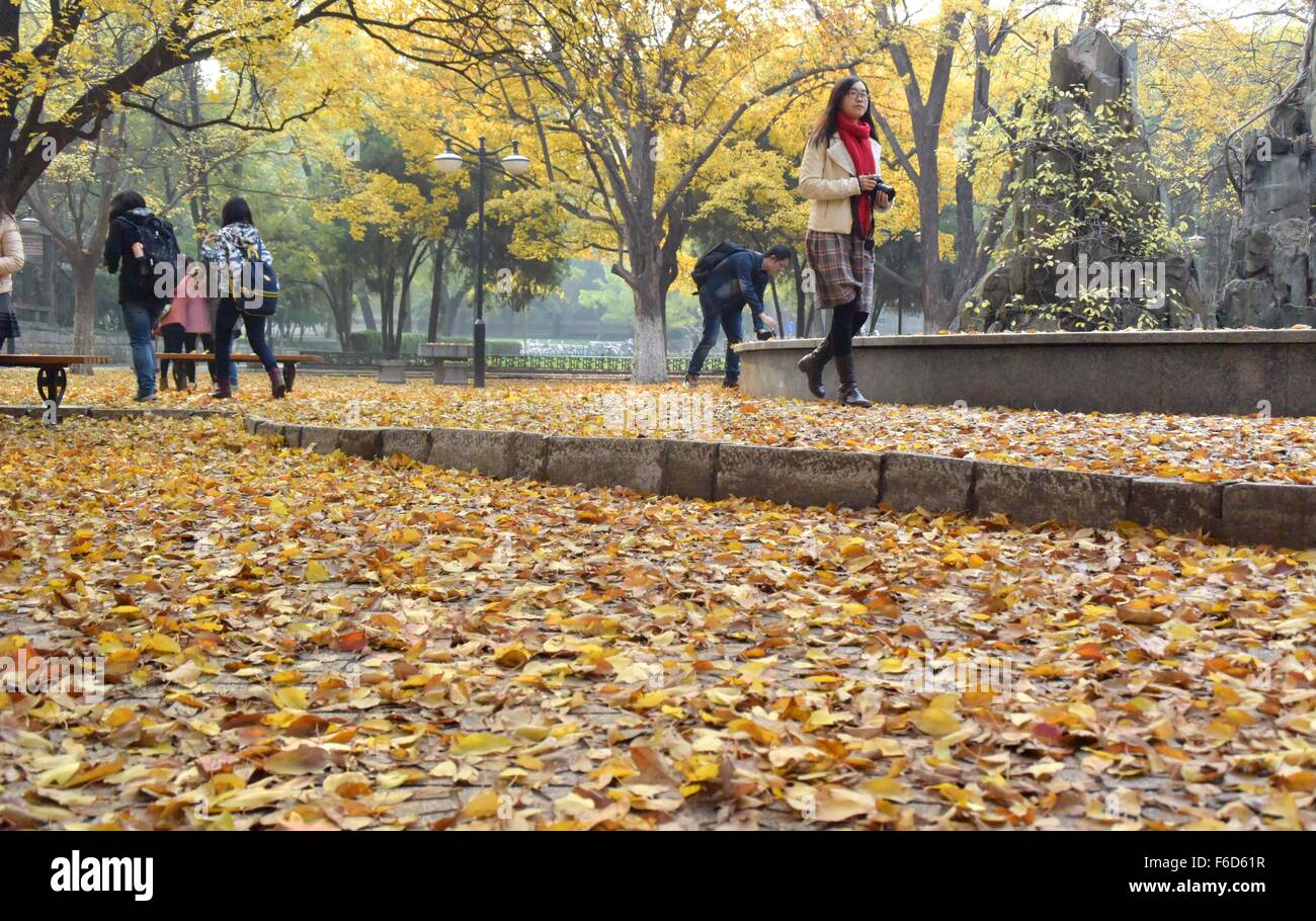 Jinan, China Shandong Provinz. 17. November 2015. Menschen machen Sie einen Spaziergang an einem Ahorn-Wald in Shandong-Universität Jinan, der Hauptstadt der ostchinesischen Provinz Shandong, 17. November 2015. © Xu Suhui/Xinhua/Alamy Live-Nachrichten Stockfoto