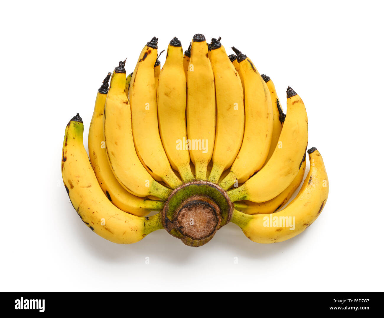 Fingernagel Banane auf weißem Hintergrund Stockfoto