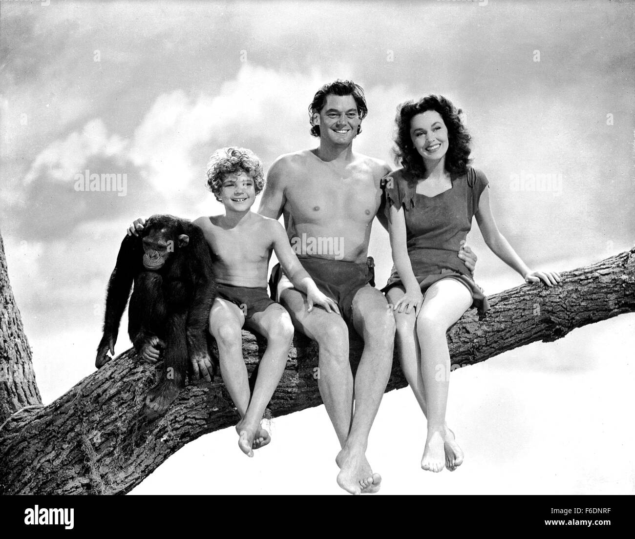 Tarzans Jane Stockfotos Und Bilder Kaufen Alamy