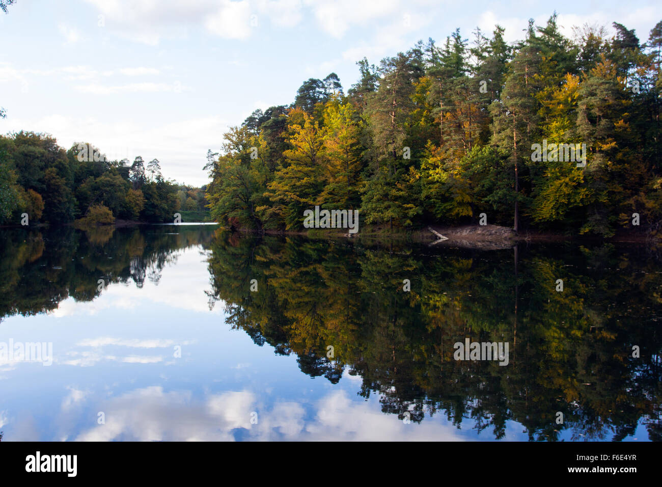 Neuer sehen Rotwildpark Bei Stuttgart Stockfoto