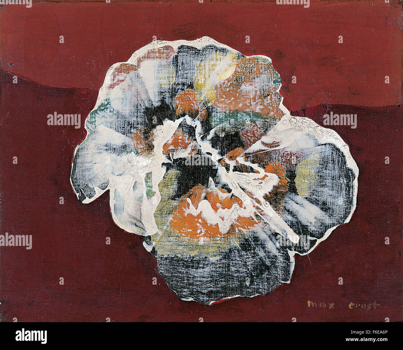 Max Ernst - Blume Shell Stockfoto