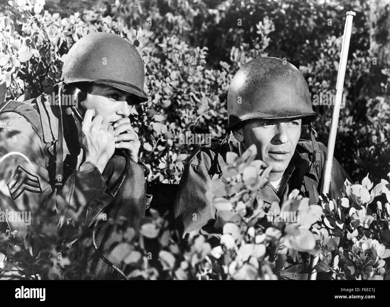 Erscheinungsdatum: 28. Juni 1958. FILMTITEL: Könige geht voran. STUDIO: Frank Ross-Eton-Produktionen. PLOT: Rennen, Liebe und Krieg. Die Alliierten gelandet in Frankreich, eingerichtet in einer Küstenstadt, wo Lt. Sam Loggins, einer ernsten Mann aus der West Side Manhattan, schwer für Monique Blair, ein Amerikaner in Frankreich aufgewachsen fällt. Loggins' Sergeant, Britt Harris, eines Playboys aus Jersey, findet auch Monique attraktiv. Sie wählt eine Liebe und den anderen anfreunden nach Offenlegung ihrer Eltern Geschichte und warum sie in Frankreich lebt. Die Männer sagen, es macht keinen Unterschied, eine Hochzeit angekündigt, und die Soldaten stellen eine Gefahr Stockfoto