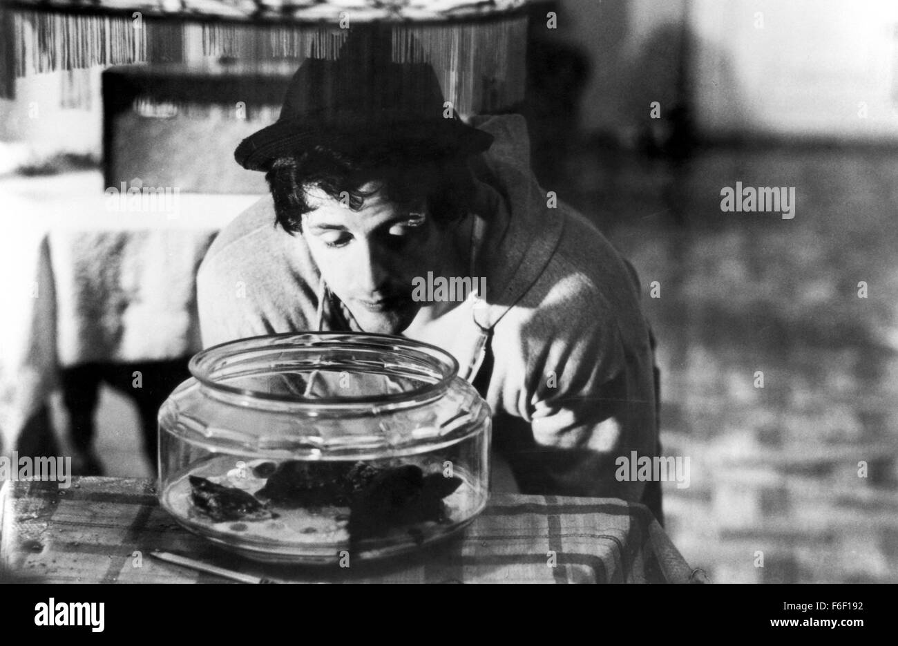 Filmtitel: ROCKY.  Direktor John G. Avildsen.  STUDIO: United Artists.  PLOT: Actionreiche, allseits beliebten, Schuss meist vor Ort, erzählt vom Aufstieg der ein Kleinzeit, Außenseiter Philadelphia Boxer Rocky Balboa (Sylvester Stallone) gegen unüberwindliche Schwierigkeiten in einem großen Kampf mit Apollo Creed (Carl Weathers), mit der emotionalen Unterstützung von einem schüchternen, lieben Freundin namens Adrian (Talia Shire) und schlaue Kampf Manager Mickey (Burgess Meredith). IM BILD: SYLVESTER STALLONE. Stockfoto