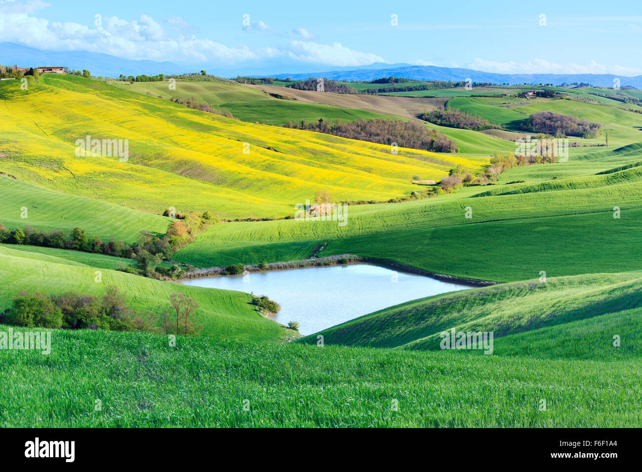 Toskana, Crete Senesi Landschaft in der Nähe von Siena, Italien, Europa. Kleiner See, grüne und gelbe Felder, blauer Himmel mit Wolken. Stockfoto