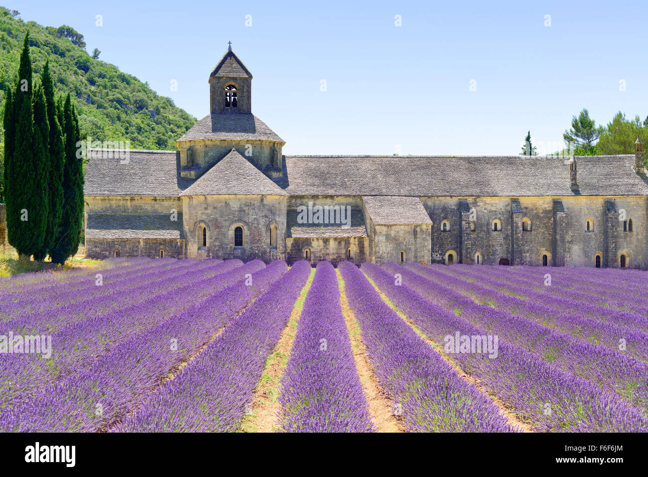 Abtei von Senanque und blühenden Zeilen Lavendel Blumen. Gordes, Luberon, Vaucluse, Provence, Frankreich, Europa. Stockfoto