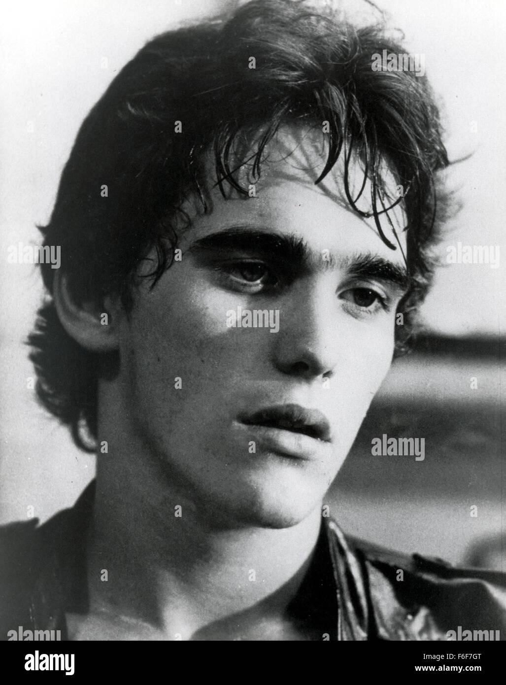 The Outsiders 1983 Stockfotos The Outsiders 1983 Bilder