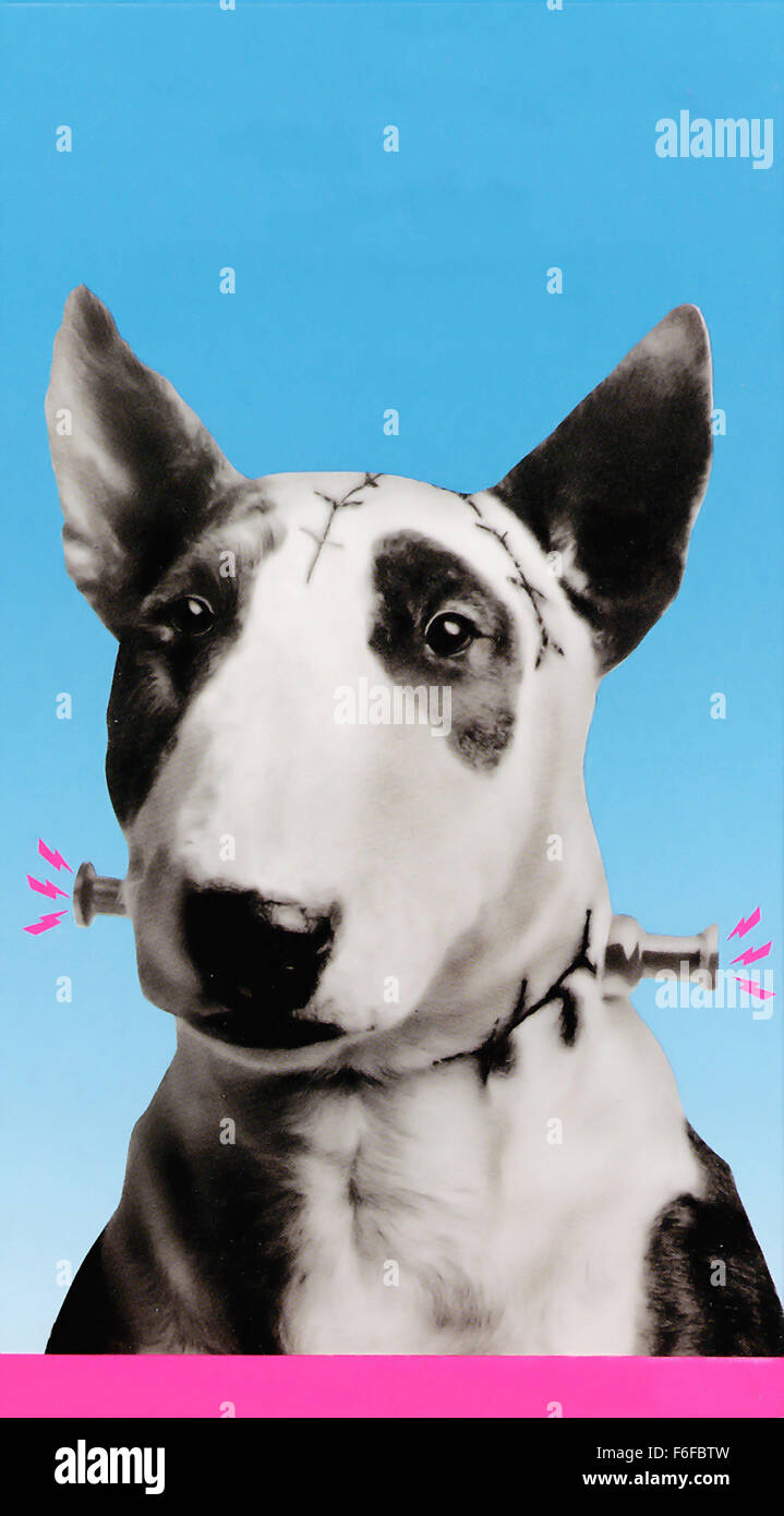 Erscheinungsdatum: 14. Dezember 1984 Film Titel: Frankenweenie Regie: Tim Burton STUDIO: Walt Disney Bilder zeichnen: als junge Victor Hund Sparky (Wer in Victors hausgemachte Monster-Filme-stars) von einem Auto angefahren, Victor beschließt, ihn wieder zum Leben erweckt er weiß, den einzigen Weg wie. Aber wenn die Schraube-necked '' Monster'' Chaos und Terror in den Herzen der Victors Nachbarn anrichtet, hat er (und seine Eltern) zu überzeugen, dass trotz seines Aussehens Sparky immer noch die gute treue Freundin ist er ist immer abgebildet: (Image Credit: C Walt Disney Pictures/Entertainment Bilder /. Stockfoto