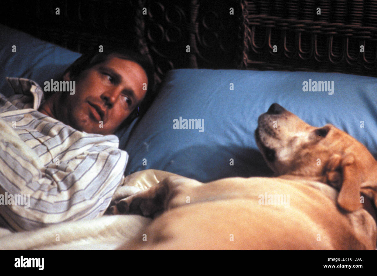 Erscheinungsdatum: 3. Juni 1988. FILMTITEL: Funny Farm. : Studioproduktionen Cornelius. PLOT: Andy und Elizabeth sind krank von Leben in der Stadt, und beschließen, in das Land ziehen. Kauf einer Wohnung in der Nähe ein malerisches Städtchen (zu ihrem Entsetzen) dann schnell feststellen, dass Dinge anders in dem Land gemacht werden. Sie müssen mit allen lokalen Zeichen sowie die heimische Tiere und Leichen im Keller befassen. Im Bild: CHEVY CHASE als Andy Bauer. Stockfoto